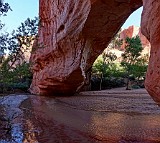 USA coyote bridge.jpg